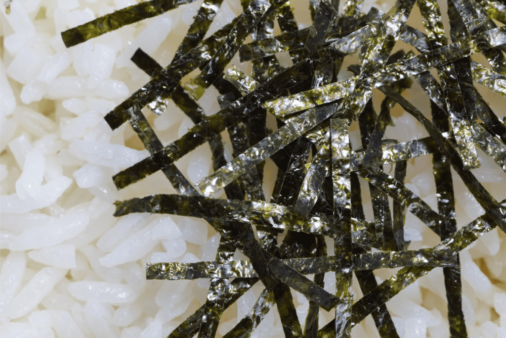 alga nori